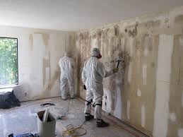 Biohazard Mold Removal in Chelsea Cove, NY